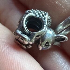 Pandora charm